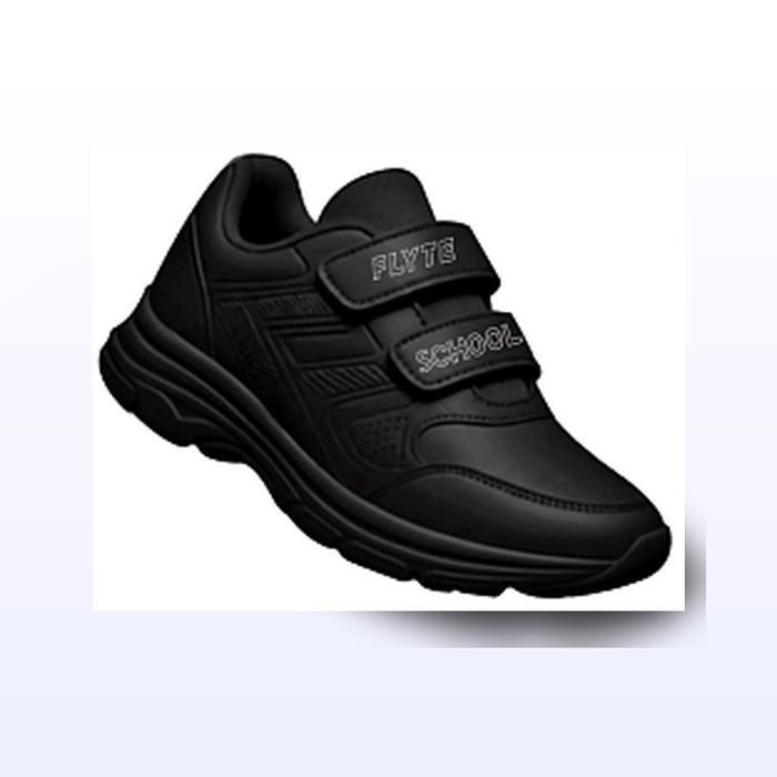 FLYTE School DIP 31D00A6